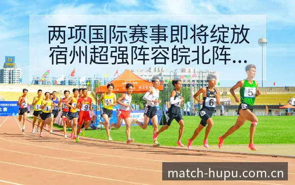 两项国际赛事即将绽放宿州超强阵容皖北阵容调整影响分析签表 - 虎扑